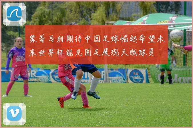 蒙哥马利期待中国足球崛起希望未来世界杯能见国足展现天赋球员